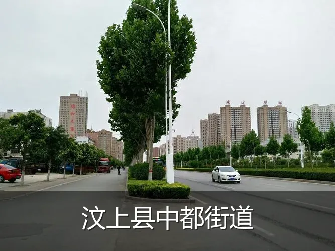 汶上县中都街道