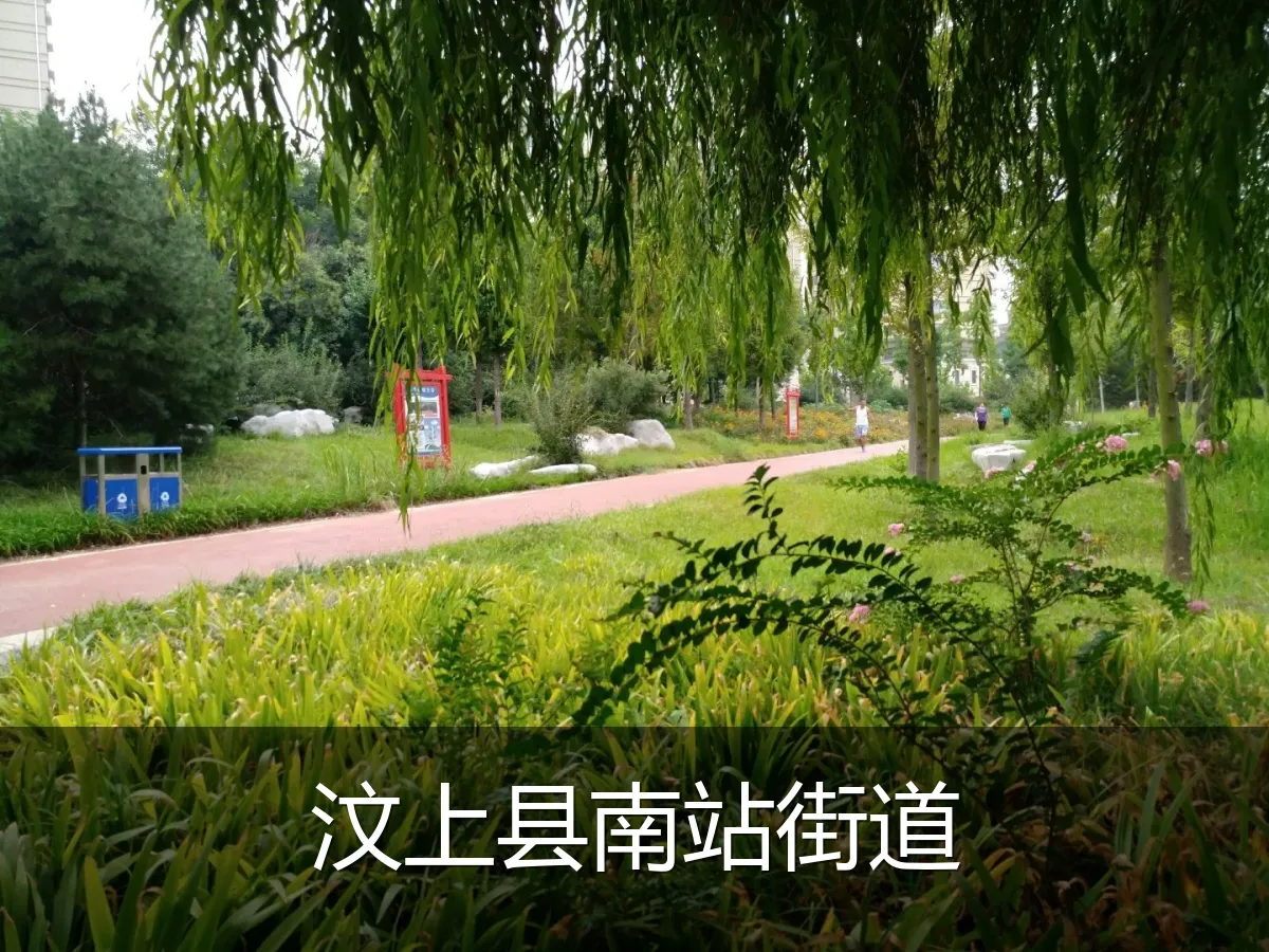 汶上县南站街道