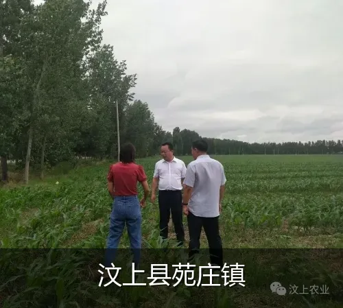 汶上县苑庄镇